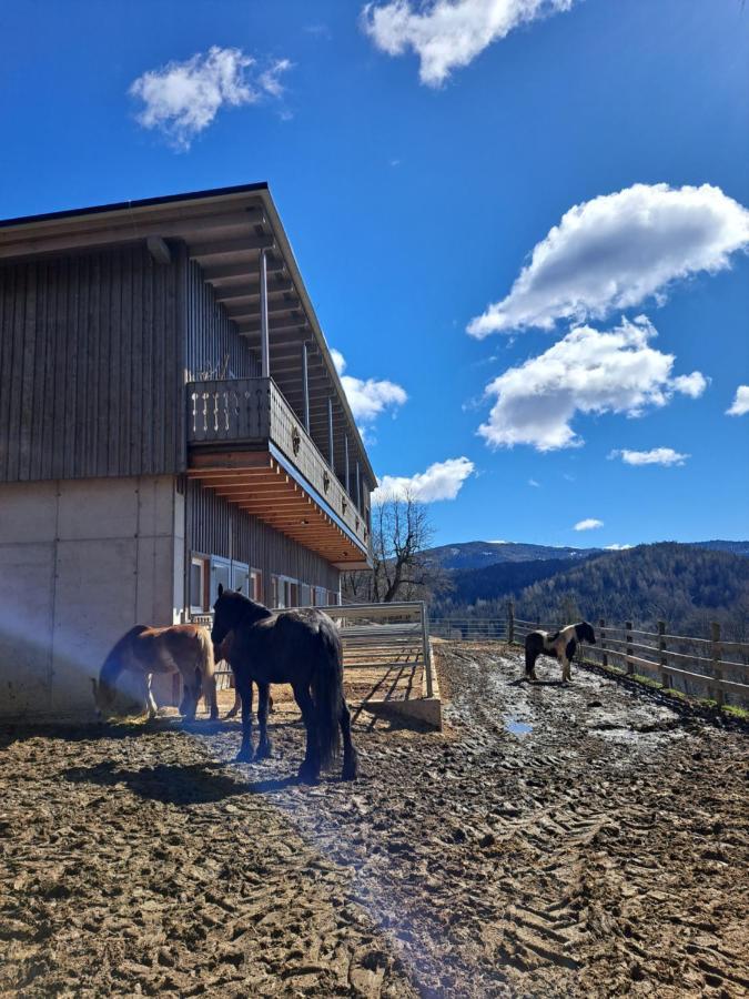 Erlebnisbauernhof Gutschi Ranch Apartment Kamp Exterior photo